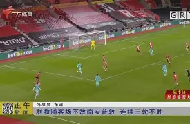凤凰娱乐APP-奥格斯堡客场不敌对手，连续败局难缓的简单介绍